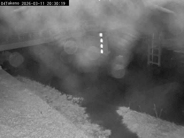 最新監視カメラ画像