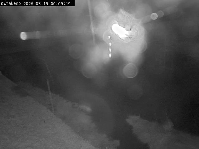 最新監視カメラ画像