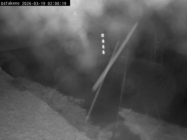 最新監視カメラ画像