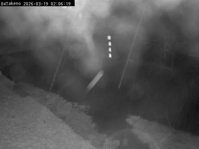 最新監視カメラ画像