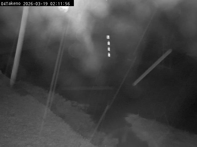 最新監視カメラ画像