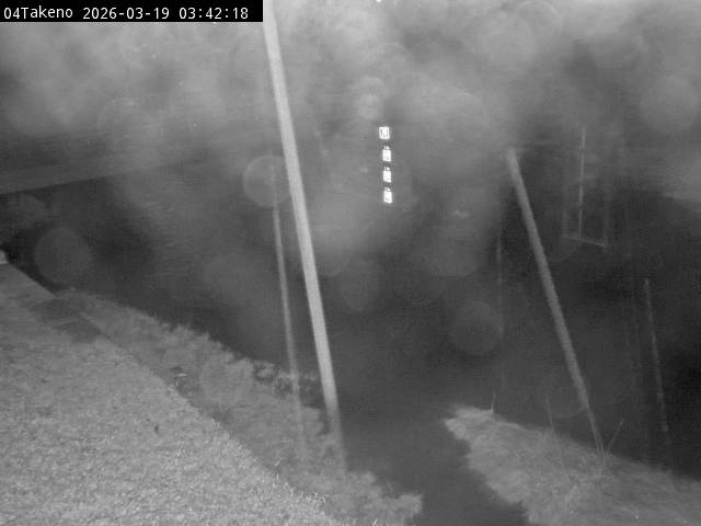 最新監視カメラ画像