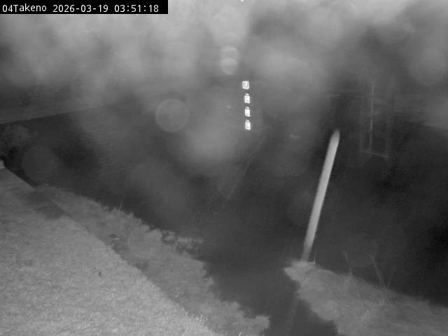 最新監視カメラ画像