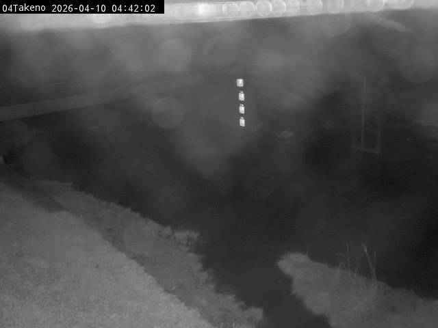 最新監視カメラ画像