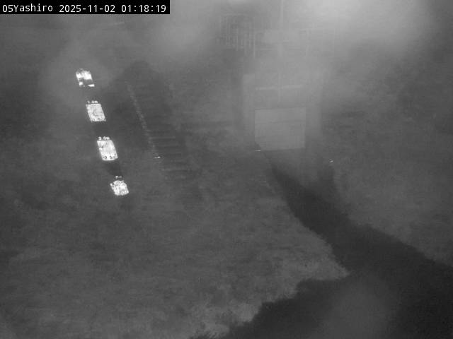 最新監視カメラ画像