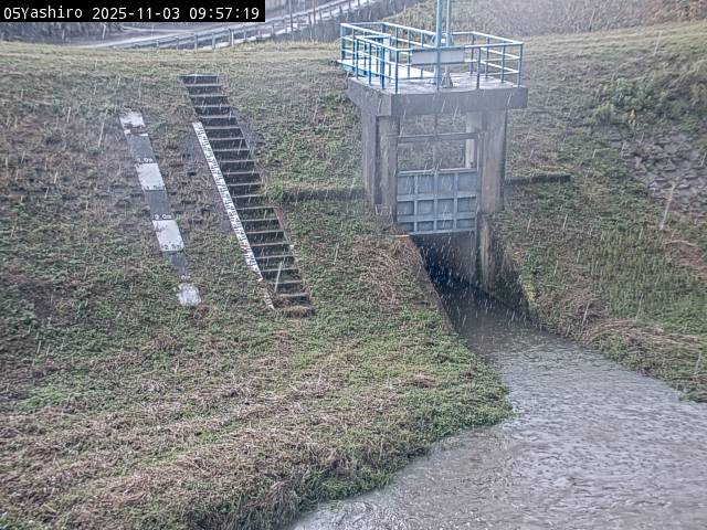 最新監視カメラ画像