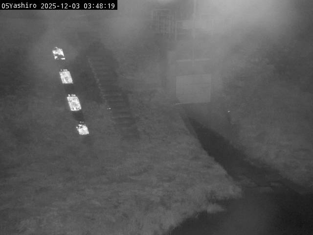 最新監視カメラ画像