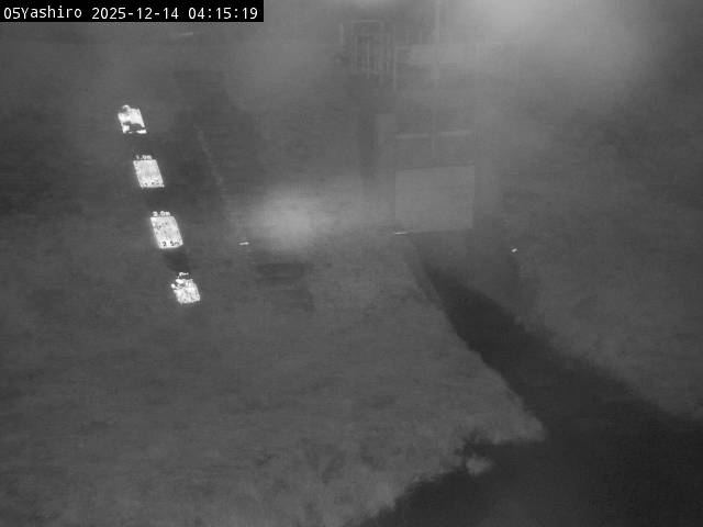 最新監視カメラ画像