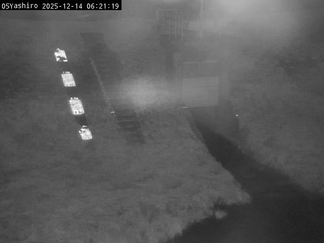 最新監視カメラ画像