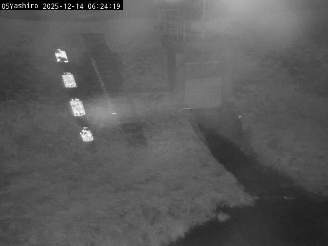 最新監視カメラ画像