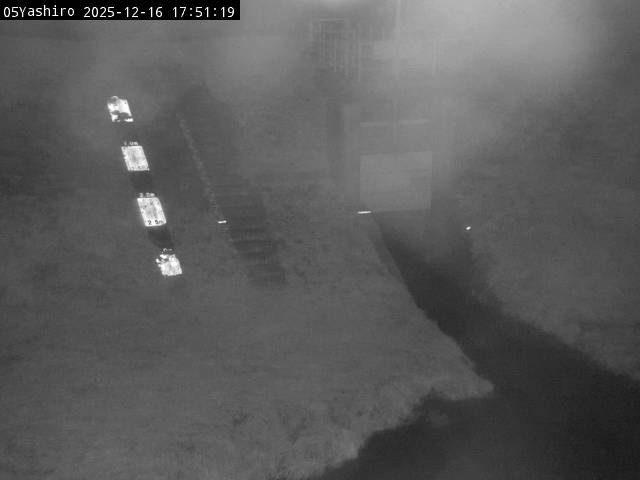 最新監視カメラ画像