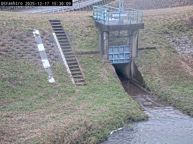 最新監視カメラ画像