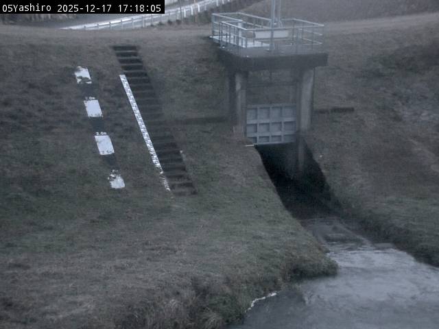 最新監視カメラ画像