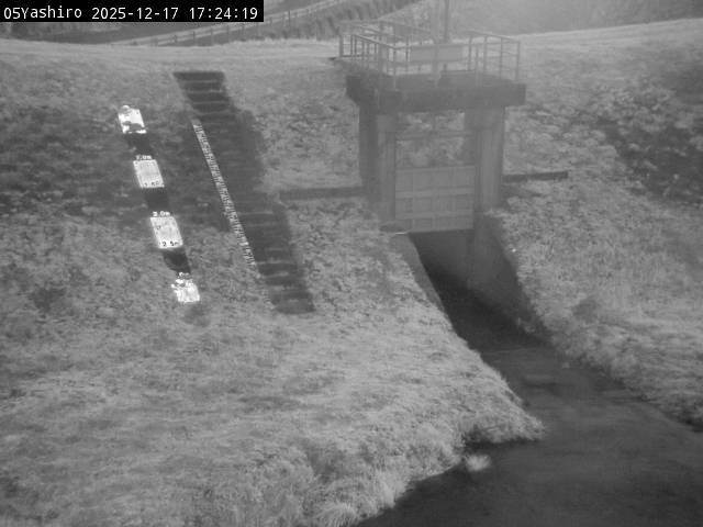 最新監視カメラ画像