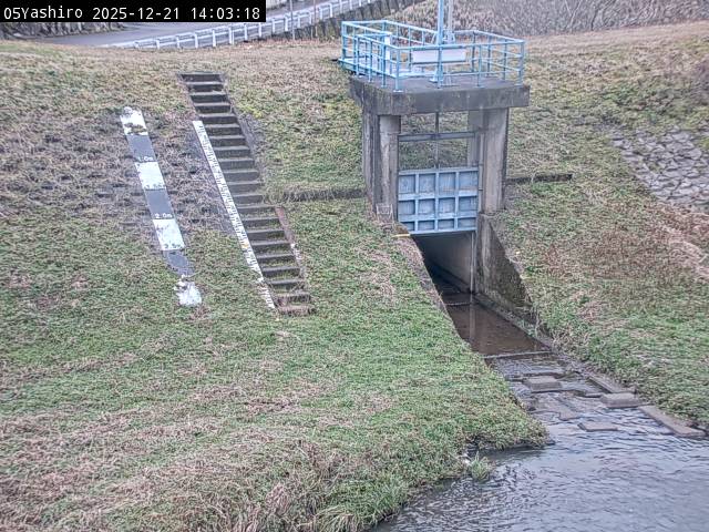 最新監視カメラ画像