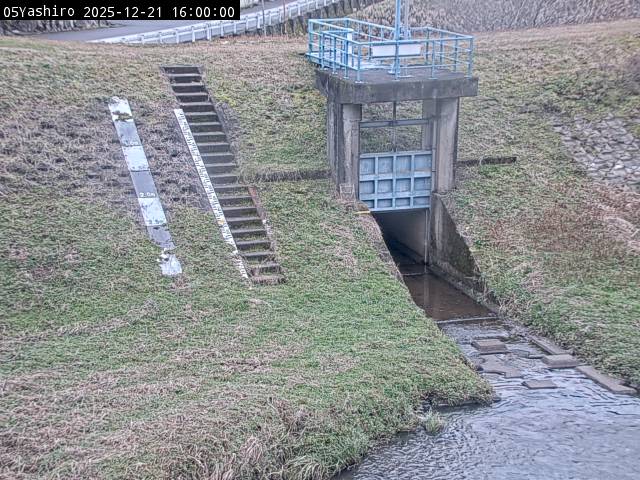 最新監視カメラ画像