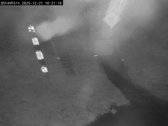 最新監視カメラ画像