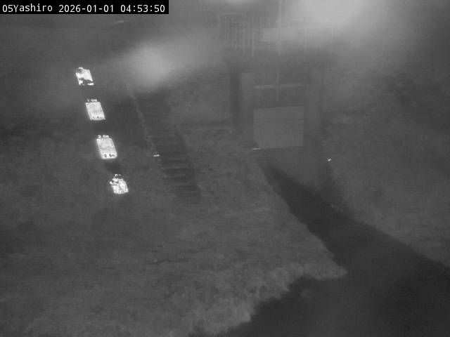 最新監視カメラ画像