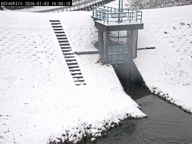 最新監視カメラ画像