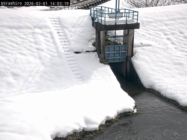 最新監視カメラ画像