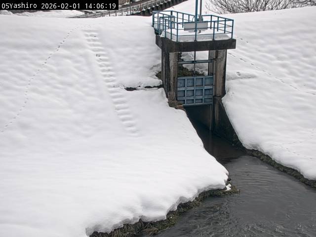 最新監視カメラ画像