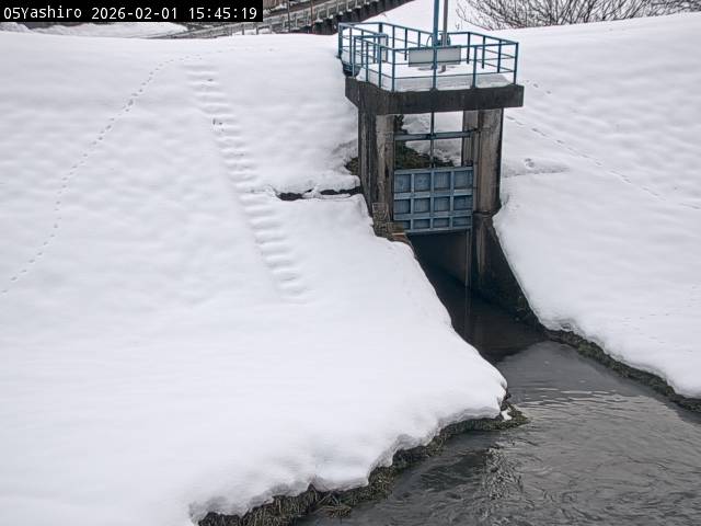 最新監視カメラ画像