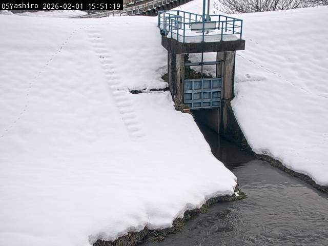 最新監視カメラ画像