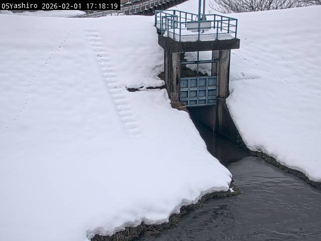 最新監視カメラ画像