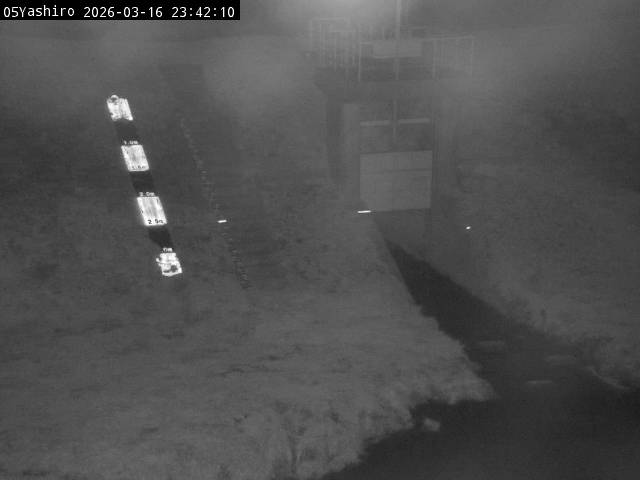 最新監視カメラ画像