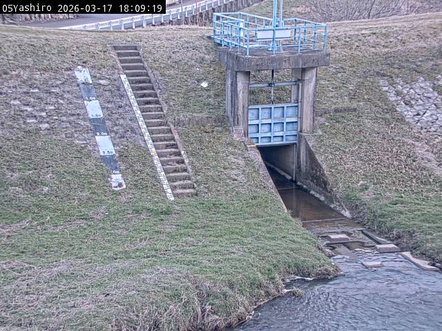 最新監視カメラ画像