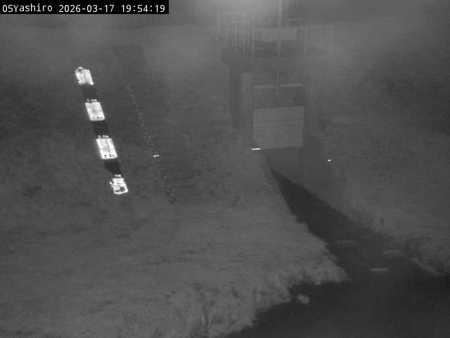 最新監視カメラ画像