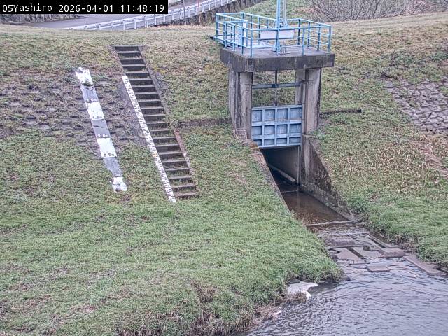 最新監視カメラ画像