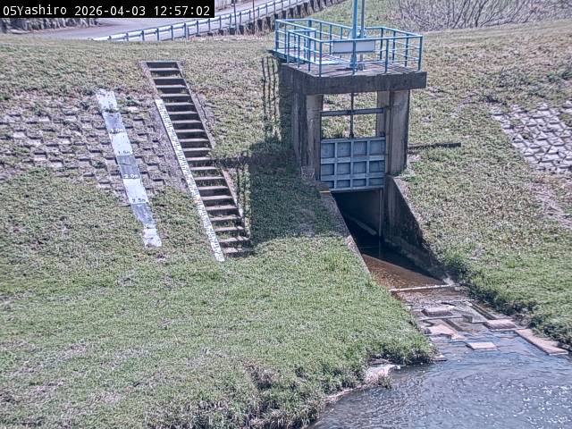 最新監視カメラ画像